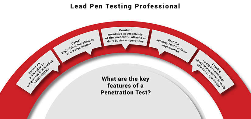 Lead Pen Testing Professional Infographic